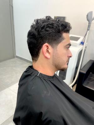 פיד